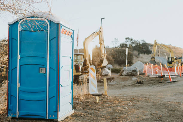 Best Local porta potty services  in Valmeyer, IL