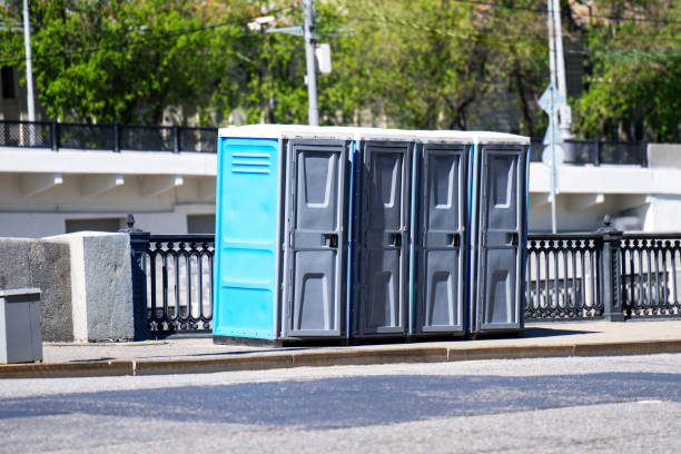 Best Luxury portable toilet rental  in Valmeyer, IL